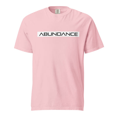 ABUNDANCE Unisex garment-dyed heavyweight t-shirt Electro Threads