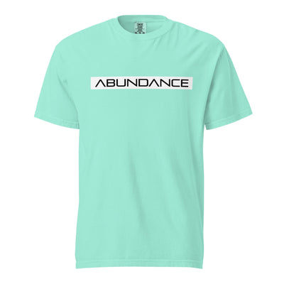 ABUNDANCE Unisex garment-dyed heavyweight t-shirt Electro Threads