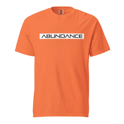 ABUNDANCE Unisex garment-dyed heavyweight t-shirt Electro Threads