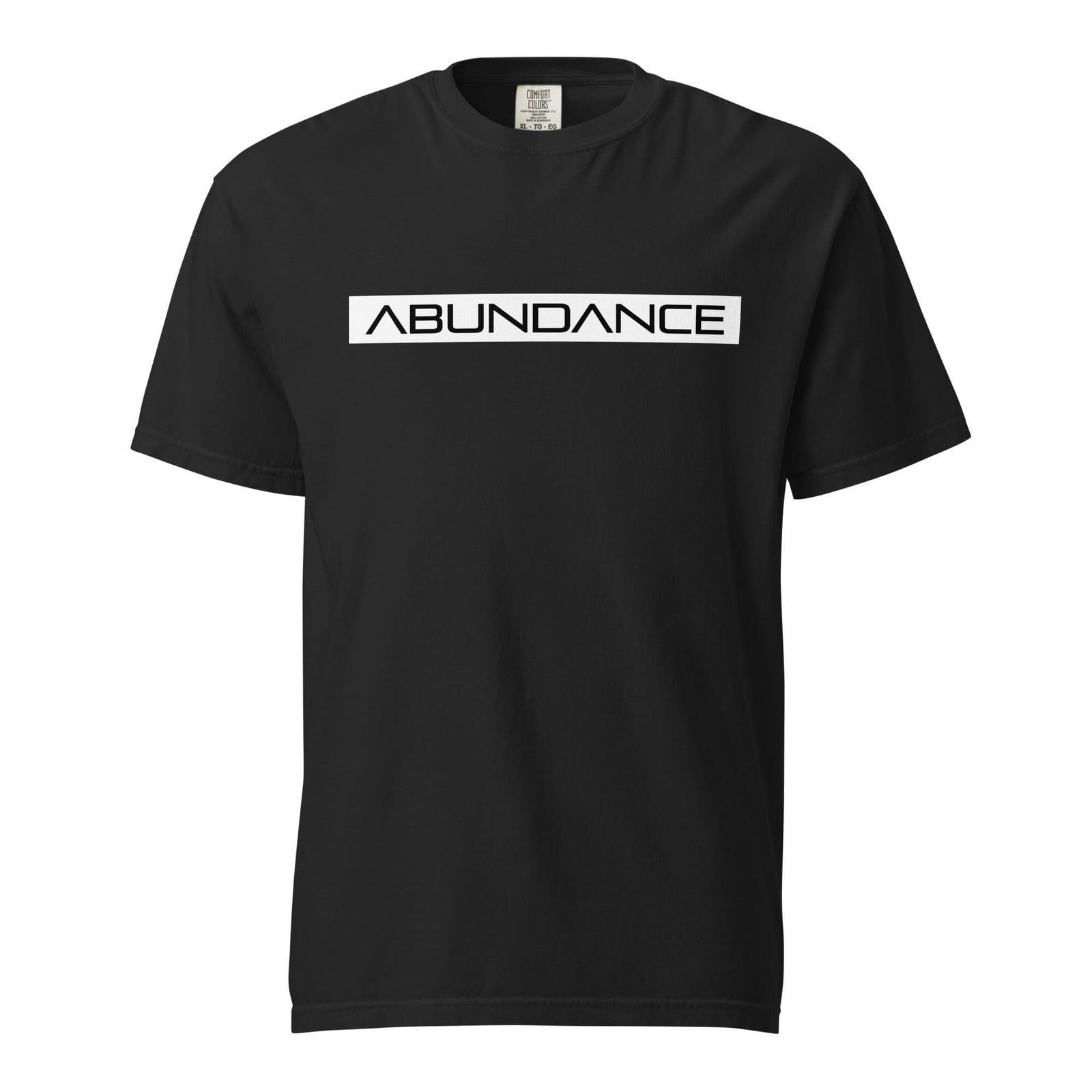 ABUNDANCE Unisex garment-dyed heavyweight t-shirt Electro Threads Black S 