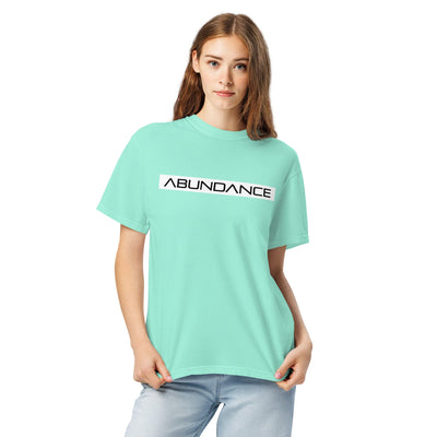 ABUNDANCE Unisex garment-dyed heavyweight t-shirt Electro Threads