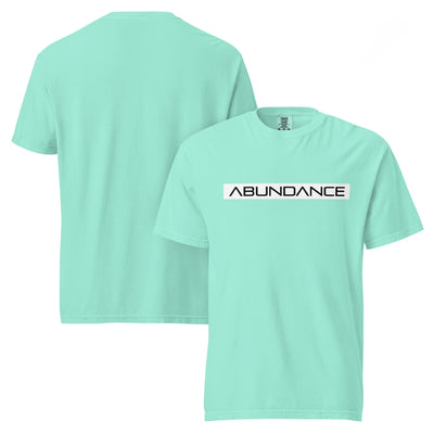 ABUNDANCE Unisex garment-dyed heavyweight t-shirt Electro Threads Chalky Mint S