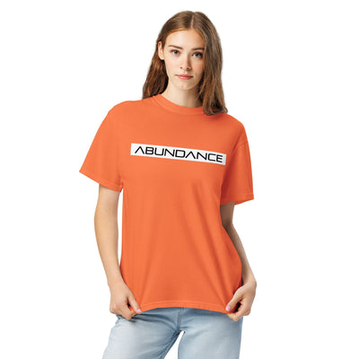 ABUNDANCE Unisex garment-dyed heavyweight t-shirt Electro Threads
