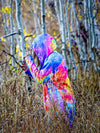 Color Storm Dream Cloak Dream Cloak Electro Threads