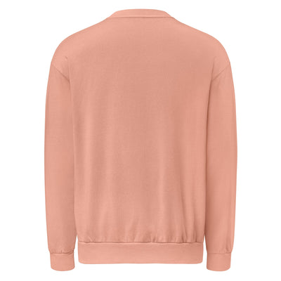 Urban sweatshirt Electro Threads