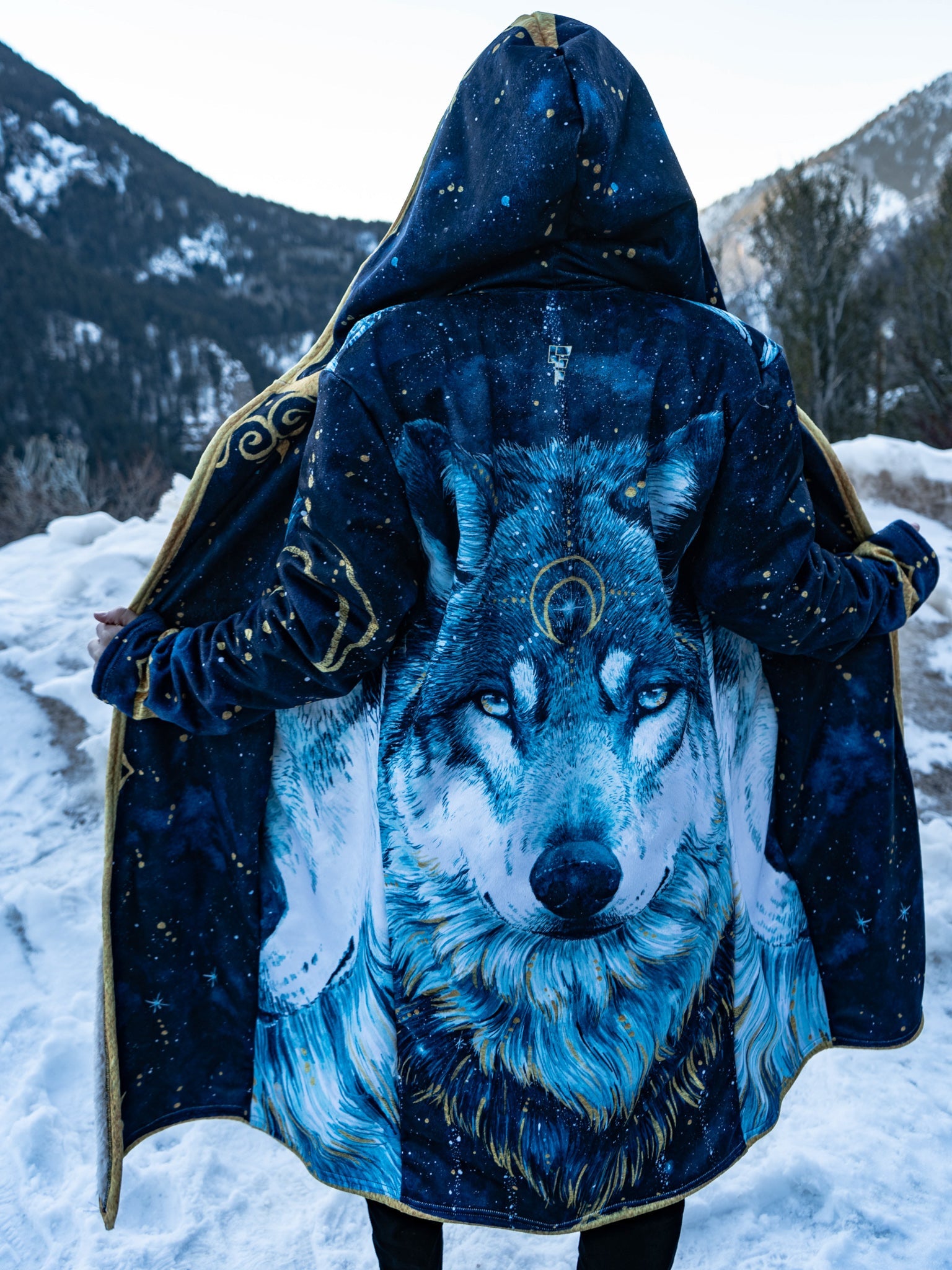 In The Darkness (Wolf) Dream Cloak (Special Edition) Available: 02/15 Dream Cloak Electro Threads 