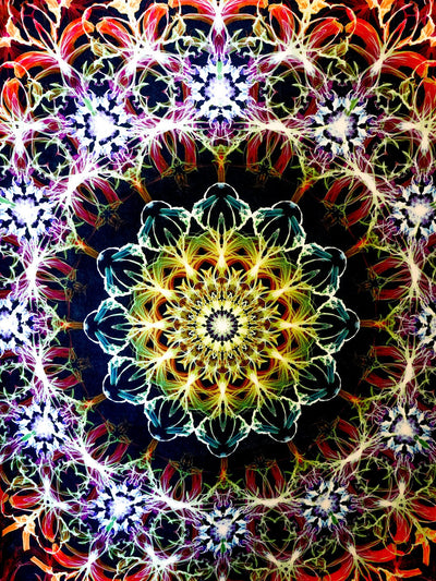Iris Mandala Sherpa Blanket Blanket Electro Threads